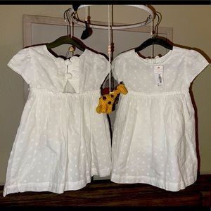 (2) Gymboree Flower Girl Dresses